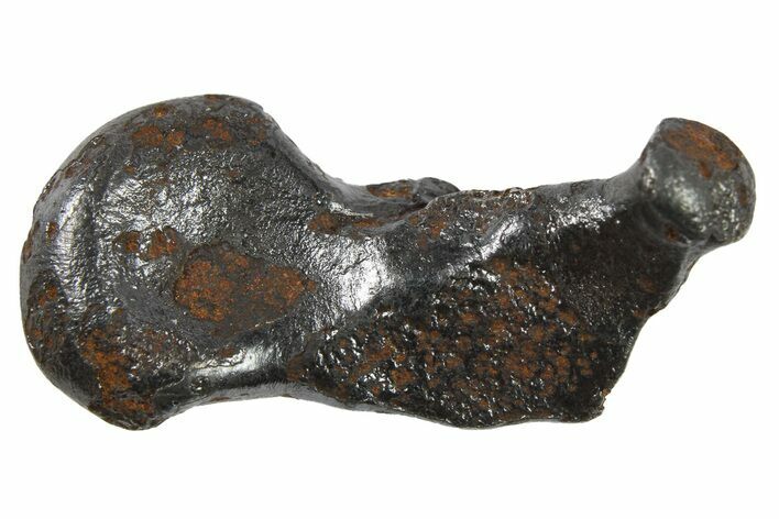 Sikhote-Alin Iron Meteorite ( g) - Russia #266709